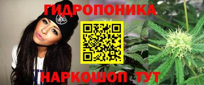 скорость Лесосибирск