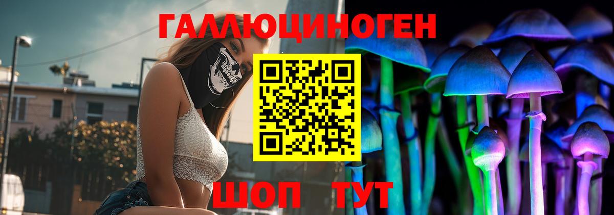 Гай  Псилоцибиновые грибы мухоморы  купить наркотики цена  Псилоцибиновые грибы Psilocybine cubensis  Вход с VPN 